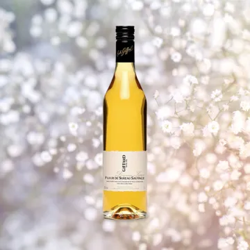 Giffard Fleur de Sureau Sauvage