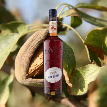 Giffard Amaretto