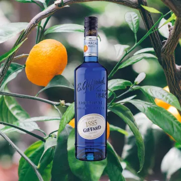 Giffard Blue Curaçao